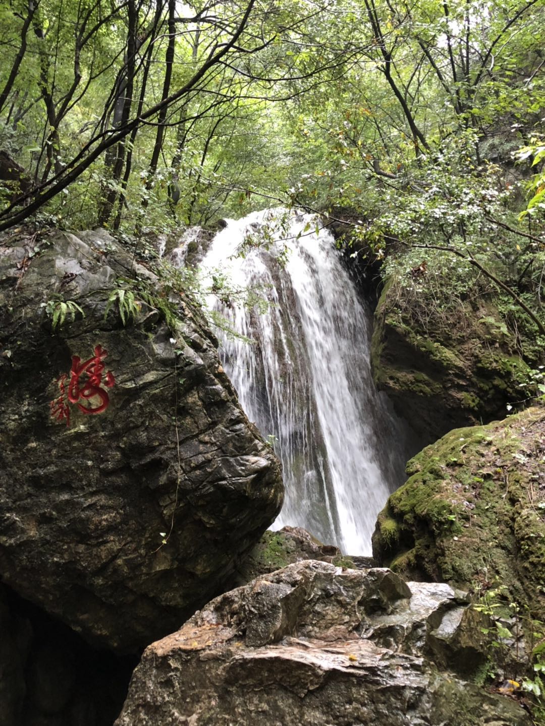 人间仙境洛阳栾川老君山,河南旅游景点推荐洛阳重渡沟