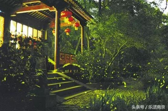 南京紫金山各大景区,南京旅游景点人少看紫金山