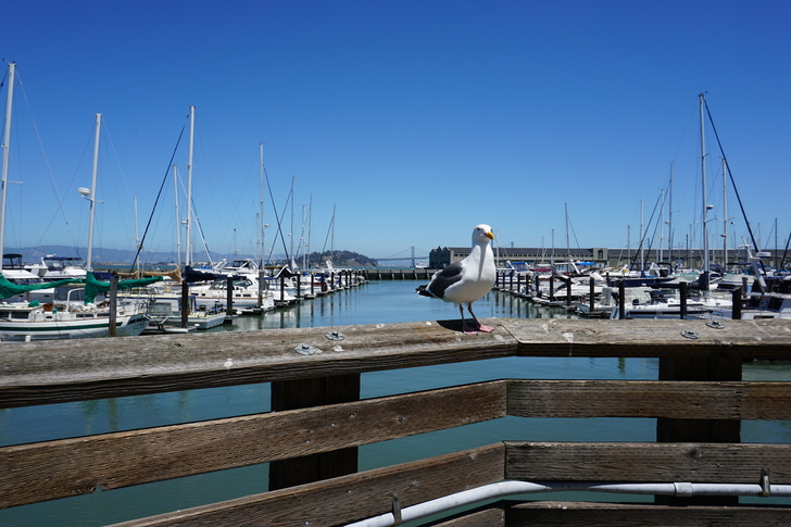 美国纽约自驾游最佳路线图,美国西部大环线自驾游攻略