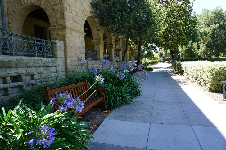 美国纽约自驾游最佳路线图,美国西部大环线自驾游攻略