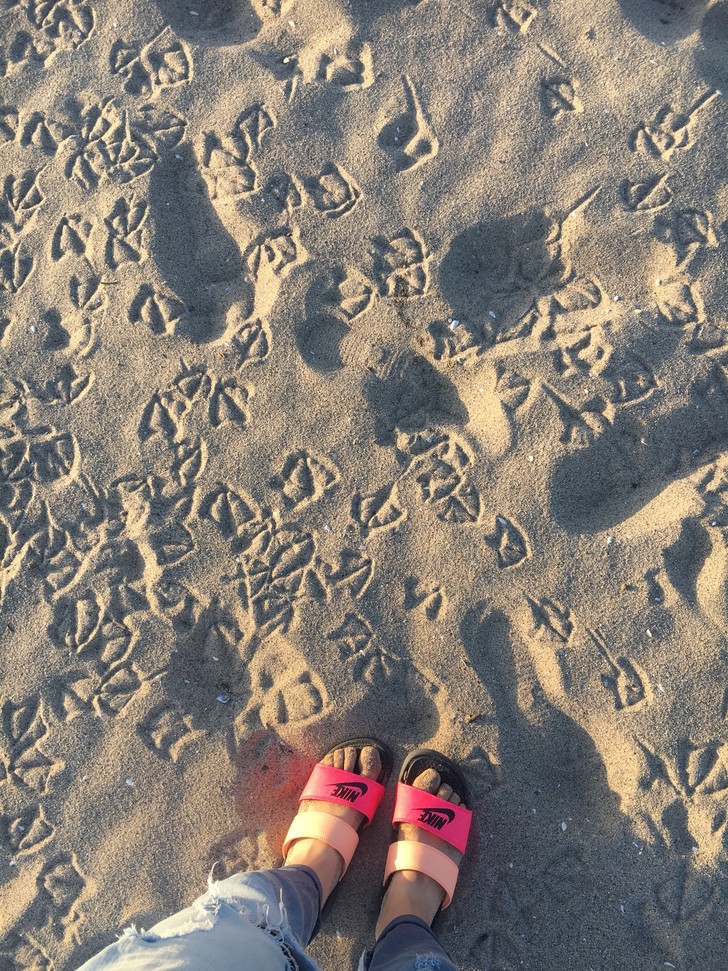 美国纽约自驾游最佳路线图,美国西部大环线自驾游攻略