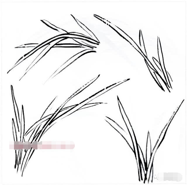 国画兰花的花头的画法,国画兰花画法小视频