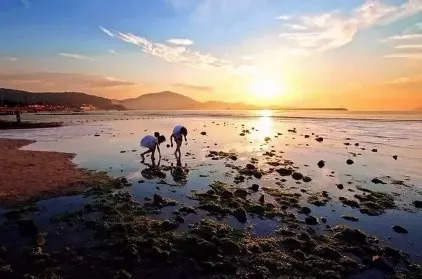 滨州面朝大海春暖花开,海景房滨州