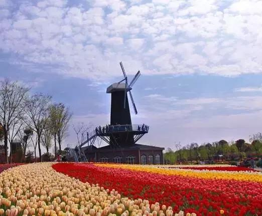 上海旅游景点有哪些地方最好玩,上海100公里左右有哪些旅游景点