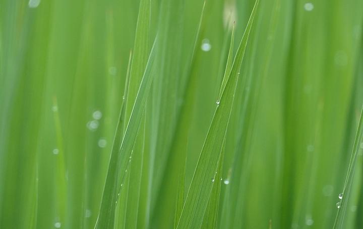 leica徕卡c-lux2多少钱,徕卡clux变焦