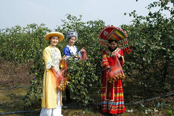 农秀才：农业农村部推荐100个休闲农业和乡村旅游精品景点线路