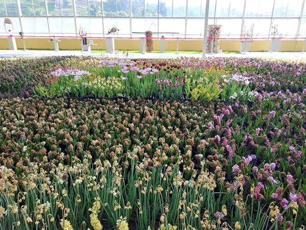 农秀才：农业农村部推荐100个休闲农业和乡村旅游精品景点线路