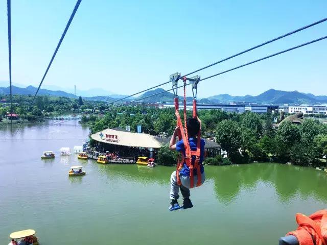 跟着萌宠过国庆，准备好迎接惊喜了吗？