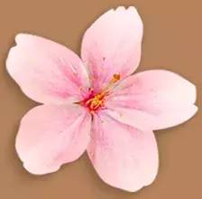 藏地江南巴塘原唱,藏地江南巴塘完整版原唱