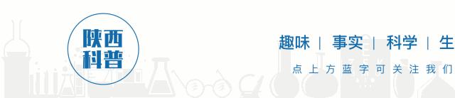 生活小妙招罐头的简单打开方式,生活小妙招打开罐头