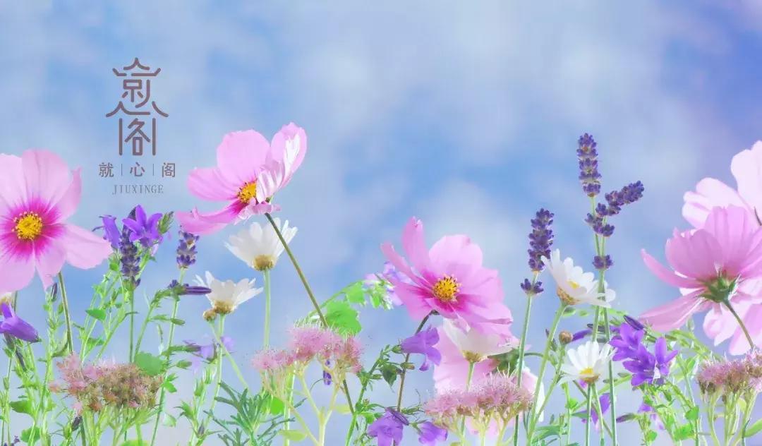 25岁不孕6年输卵管积水,不孕不育输卵管有积水