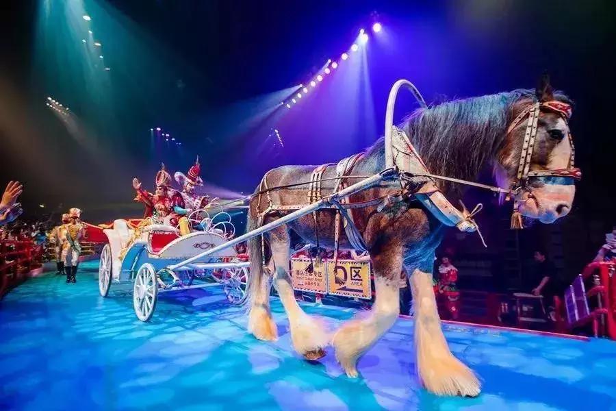 终于定了！世界皇家马戏嘉年华空降淮北吾悦广场！