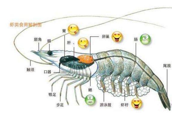 基围虾煮熟后虾头变黑,基围虾怎样做虾头不发黑
