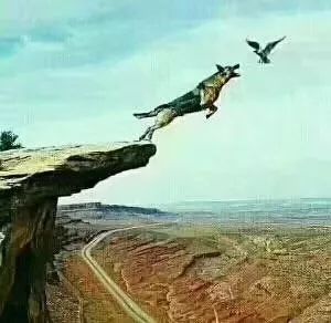 「诗词原创」西沉|路远秋已至沧海化田桑