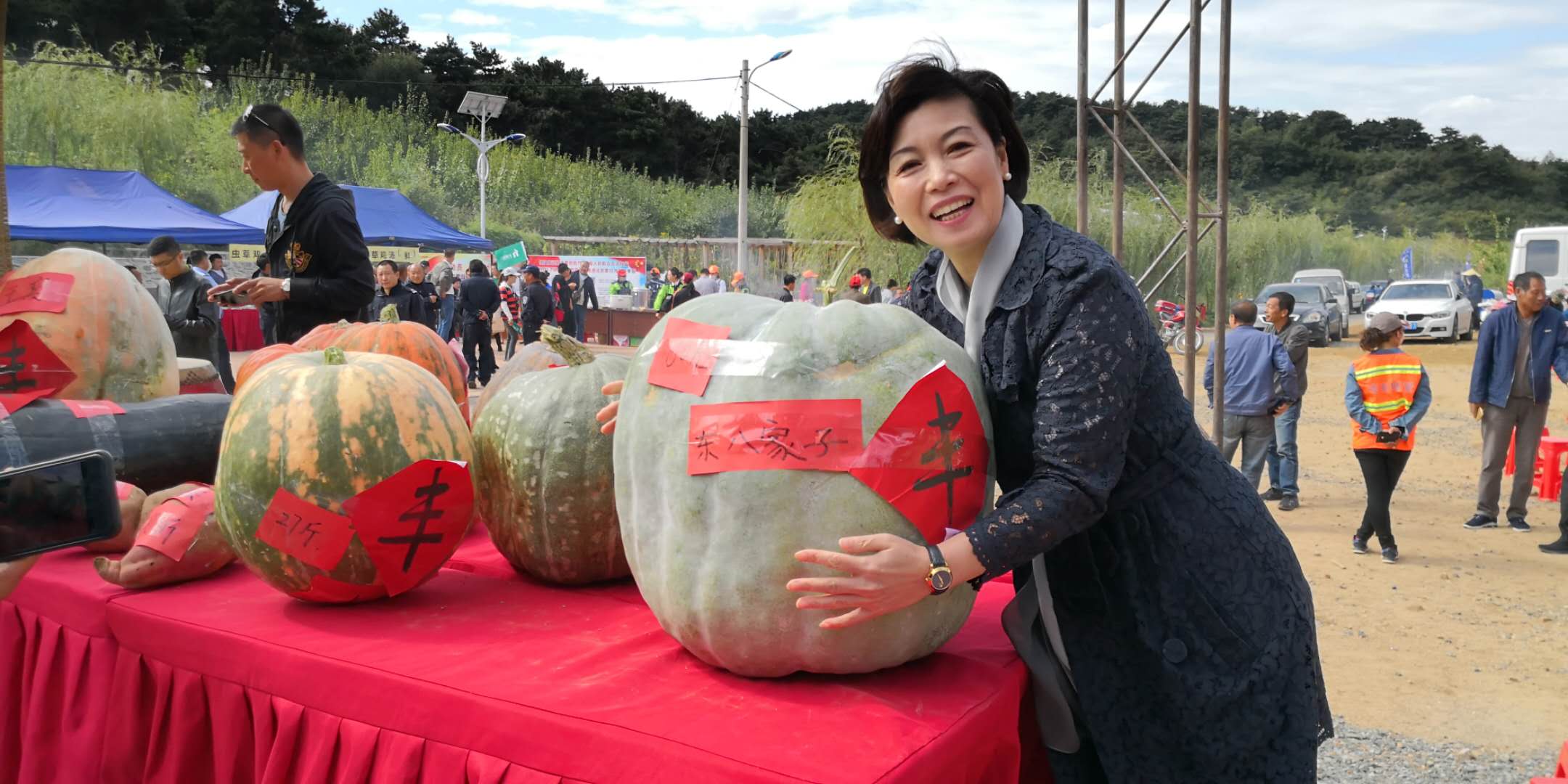 弘侨生物科技股份有限公司,弘侨生物直播