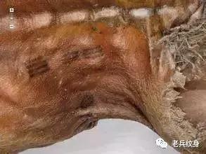 各种纹身符号的含义,有特殊含义的纹身图