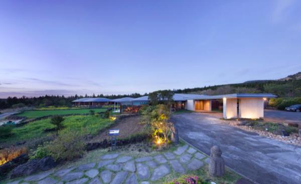 济州岛一年往返12次,到济州岛旅行行程