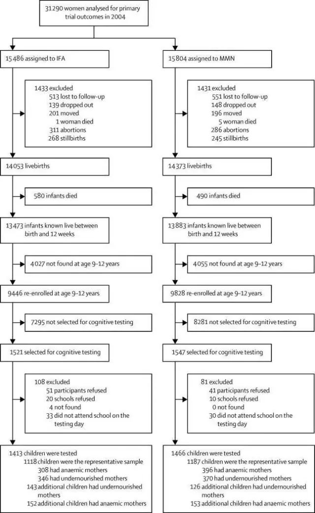 科普孕期营养,科普营养补剂