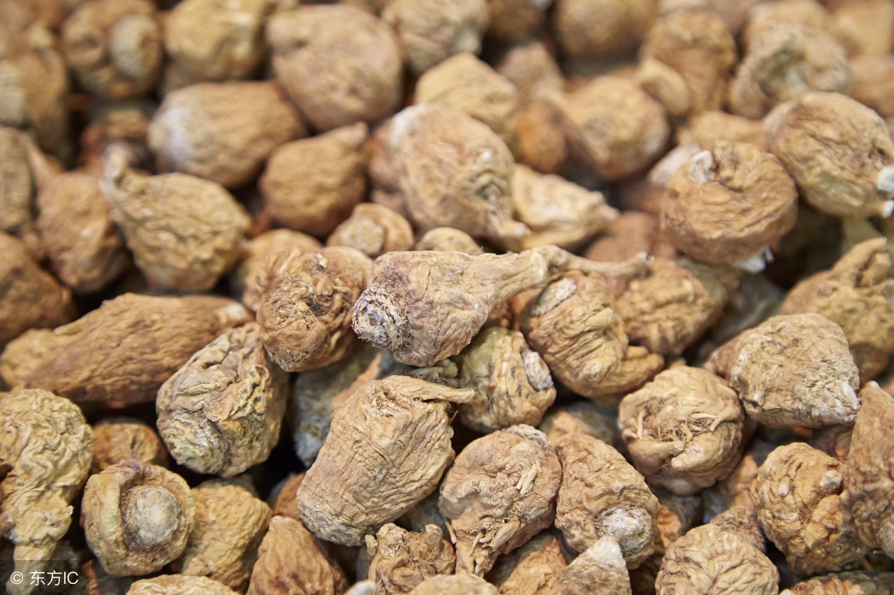 这南美喂牲口的菜，曾在我国卖到上万，现在每斤八块，你吃过吗？