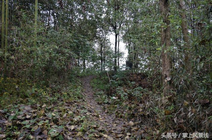 关公父子是怎么遇害的,关公败走麦城如何被杀