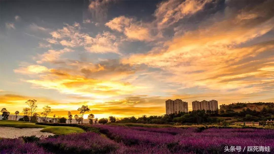 金麟湾温泉度假酒店房间内泡池,金麟湾温泉度假酒店优惠团购