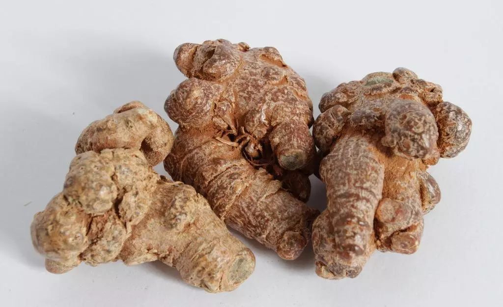 店员经典培训教材：秋冬季热销的6个贵细中药（一）