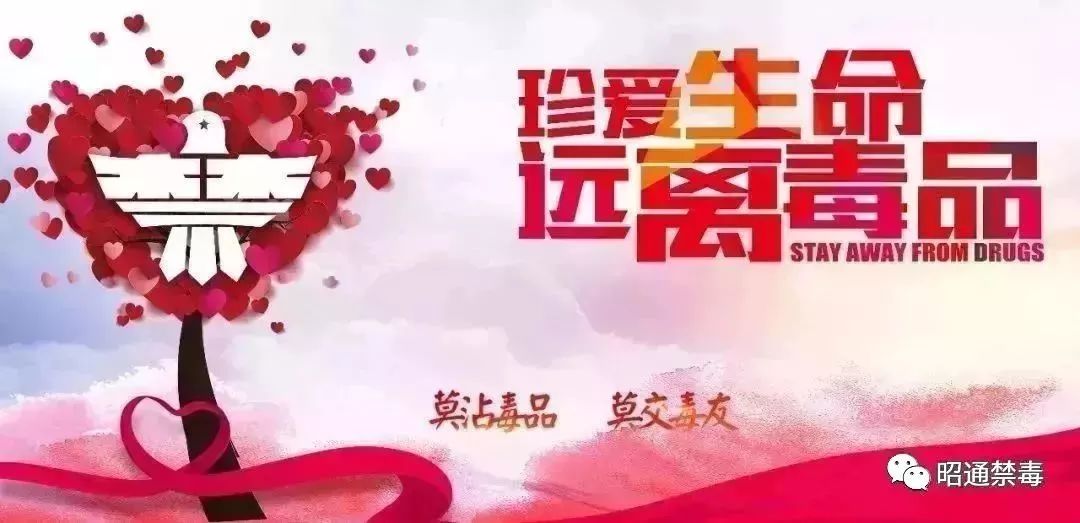 全民禁毒远离毒物,珍爱生命禁毒防艾知识