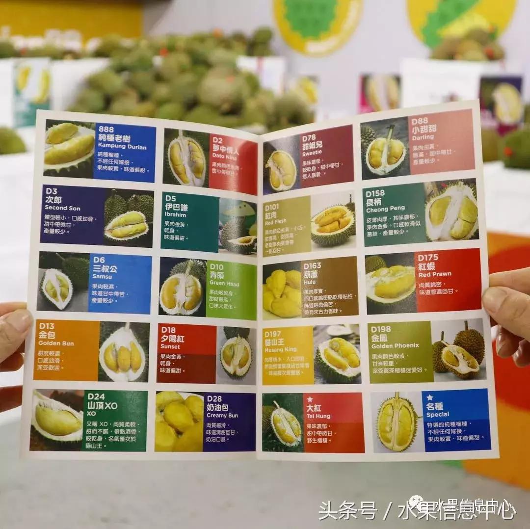 从榴莲代购起家，到64个实体销售点，他势要打造一个榴莲王国