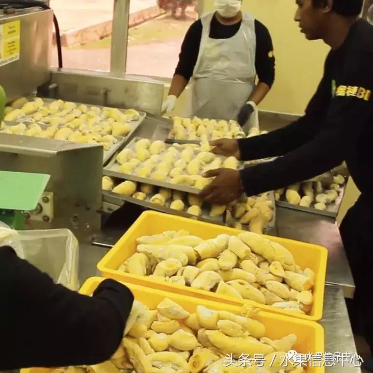 从榴莲代购起家，到64个实体销售点，他势要打造一个榴莲王国