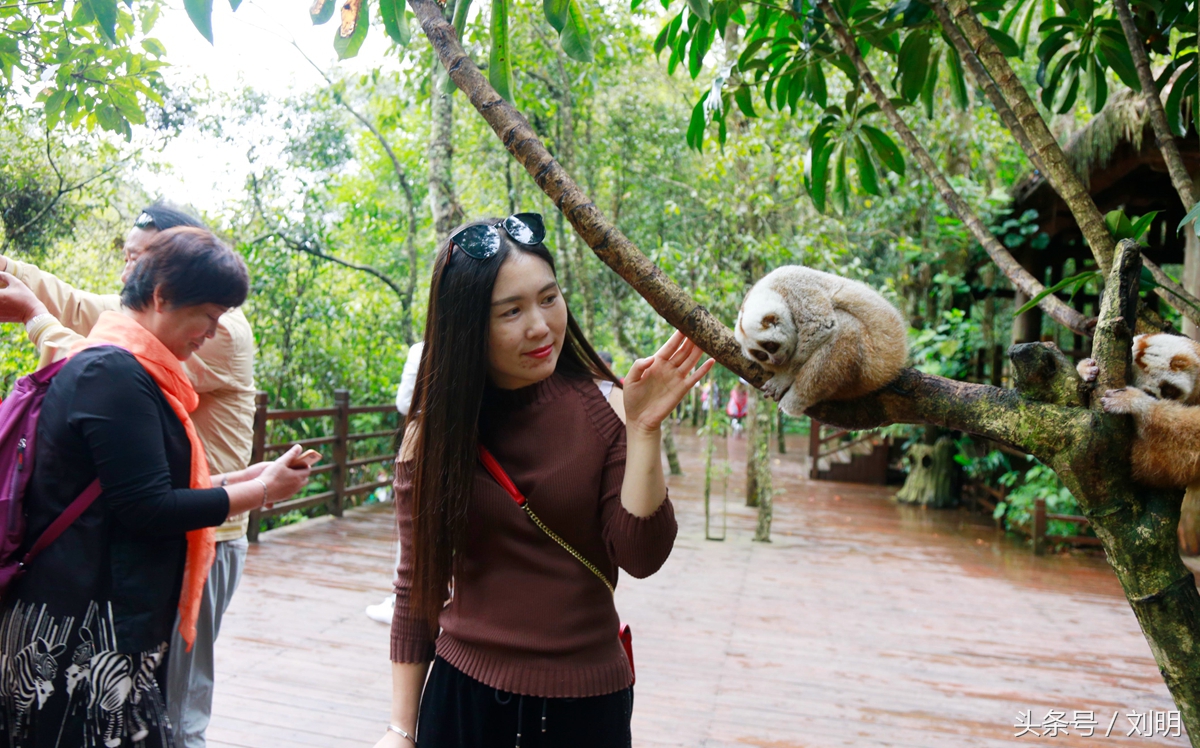 蚂蚁旅游专线云南之旅,蚂蚁旅游行