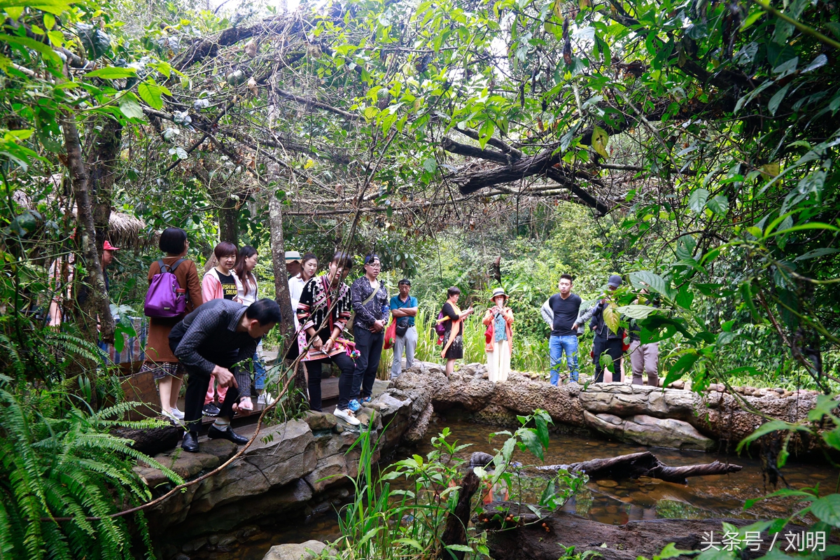 蚂蚁旅游专线云南之旅,蚂蚁旅游行