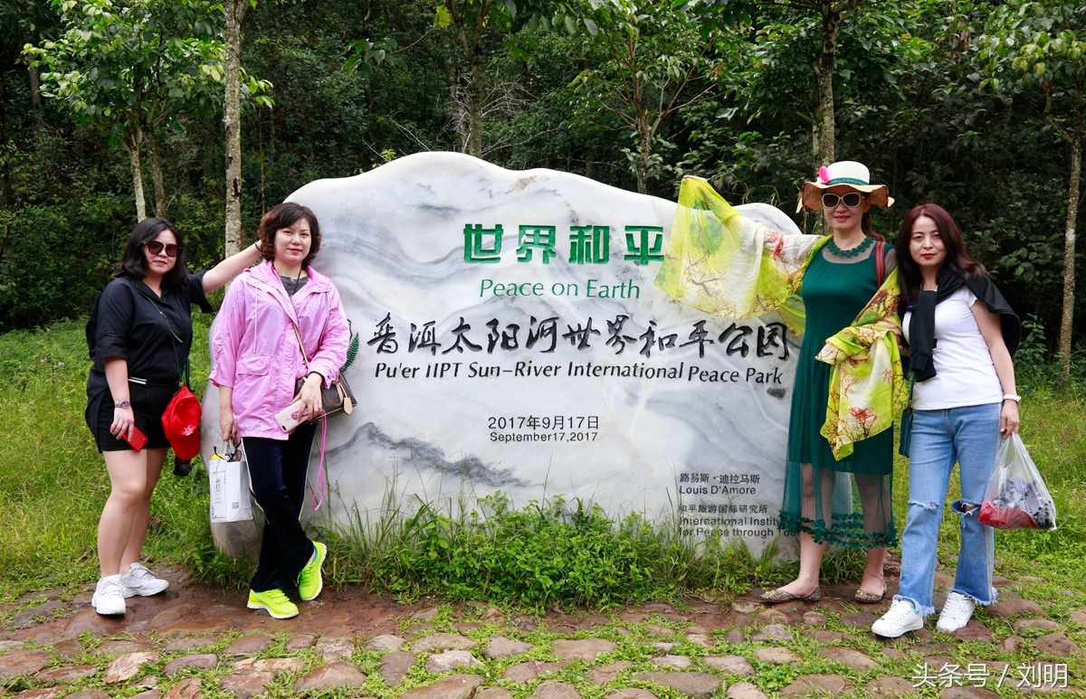 蚂蚁旅游专线云南之旅,蚂蚁旅游行