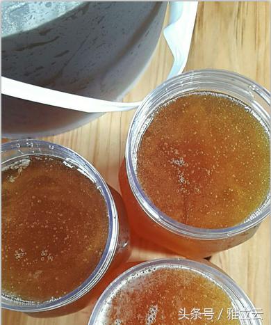 取野蜂蜜十年经验的我深究野蜂蜜的固有特征，让你买蜜不发愁