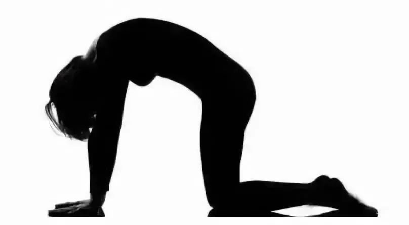 猫牛式动作讲解,猫牛式正确练习和错误练习