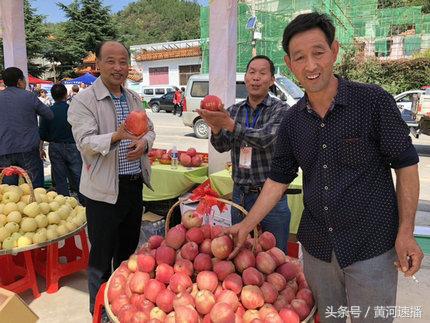 寺河山果农李英理：苹果成了金蛋蛋