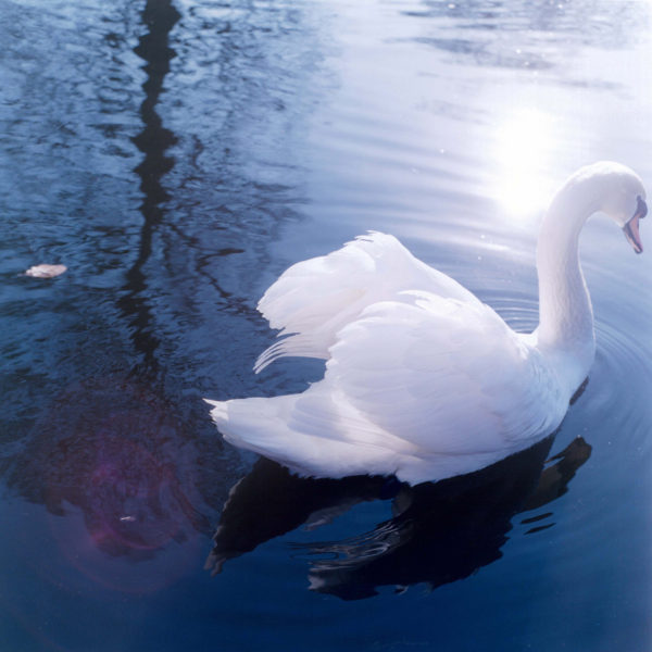 澶忓ぉ鐨勬憚褰卞笀鍐欑湡,鏃ユ湰鎽勫奖甯堟媿鍒板澶╃殑鍛抽亾