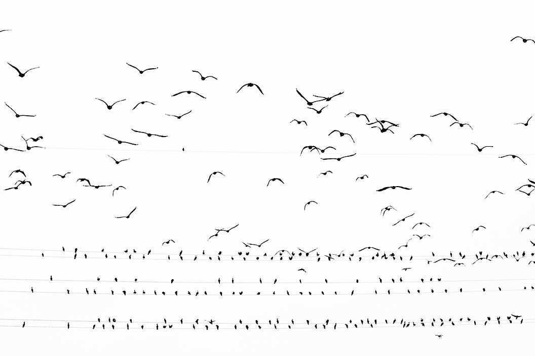 澶忓ぉ鐨勬憚褰卞笀鍐欑湡,鏃ユ湰鎽勫奖甯堟媿鍒板澶╃殑鍛抽亾