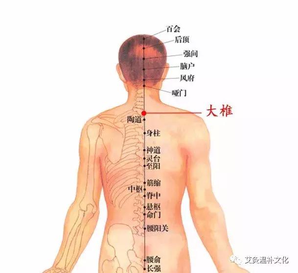 体寒艾灸什么穴位图,体寒艾灸哪个部位图解