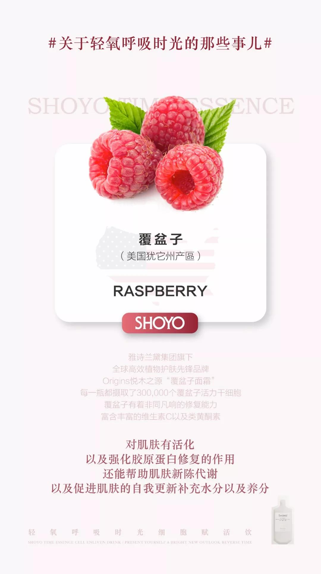 河北白藜芦醇活动价多少钱,河北质优价美白藜芦醇