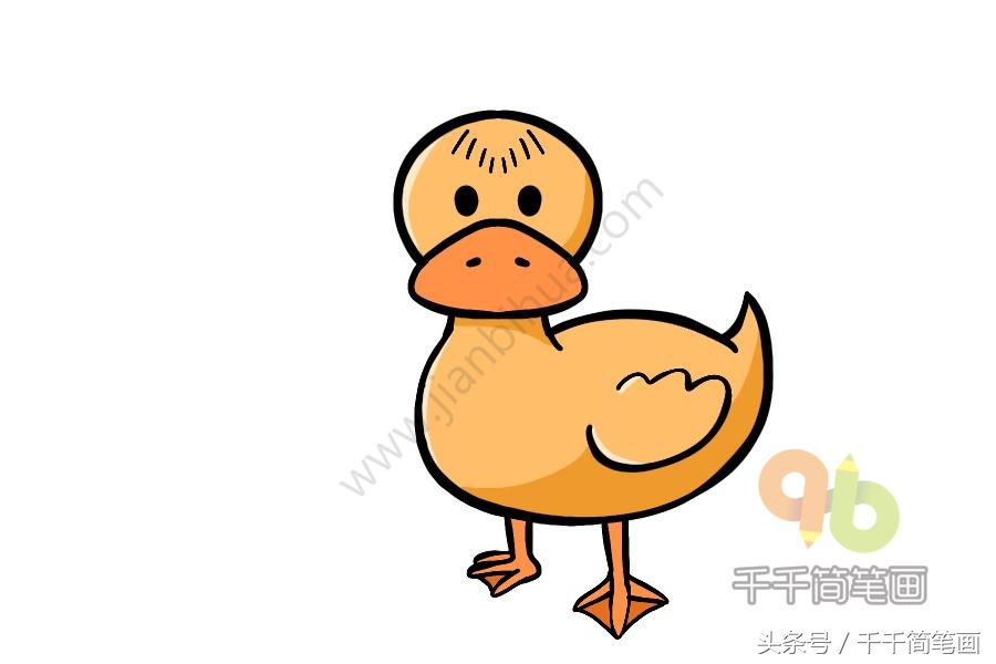 育儿简笔画小动物,育儿简笔画可爱小猪