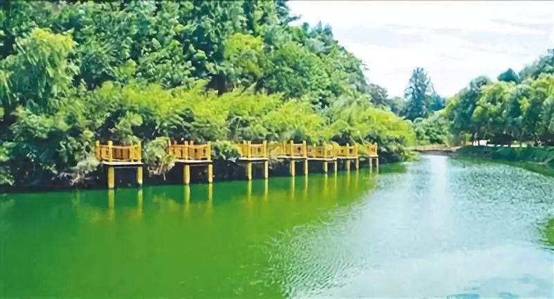 郑州又好玩又免费的景点,郑州新网红景点