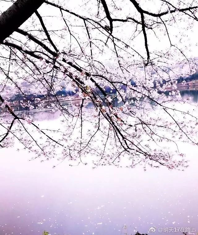 南昌纯玩一日游必去景点攻略大全,南昌纯玩一日游必去景点攻略图