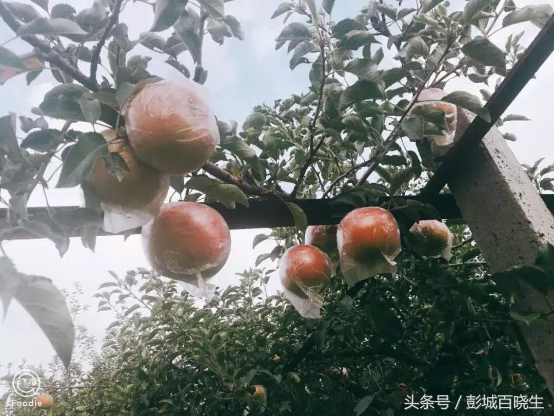 国庆节丰县附近旅游景点推荐,国庆节徐州去哪里玩好