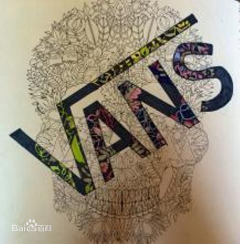 vans范斯鞋推荐,vans万斯范斯低帮pro滑板鞋