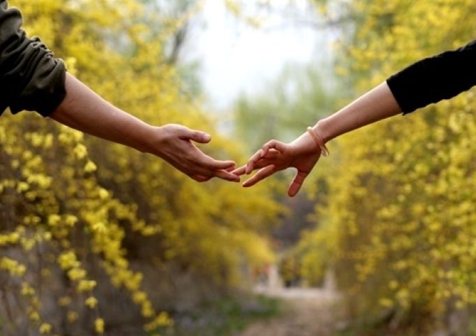 诗词中那些绝美意境,诗词中有哪些美好意境的句子