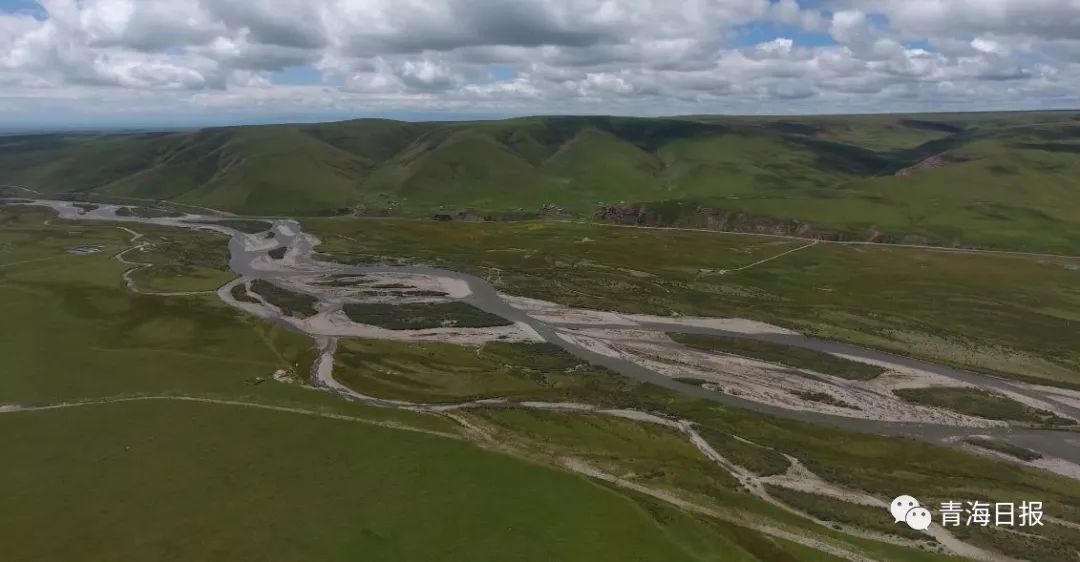 青海湖国家公园征集logo,沙柳河国家湿地公园湟鱼