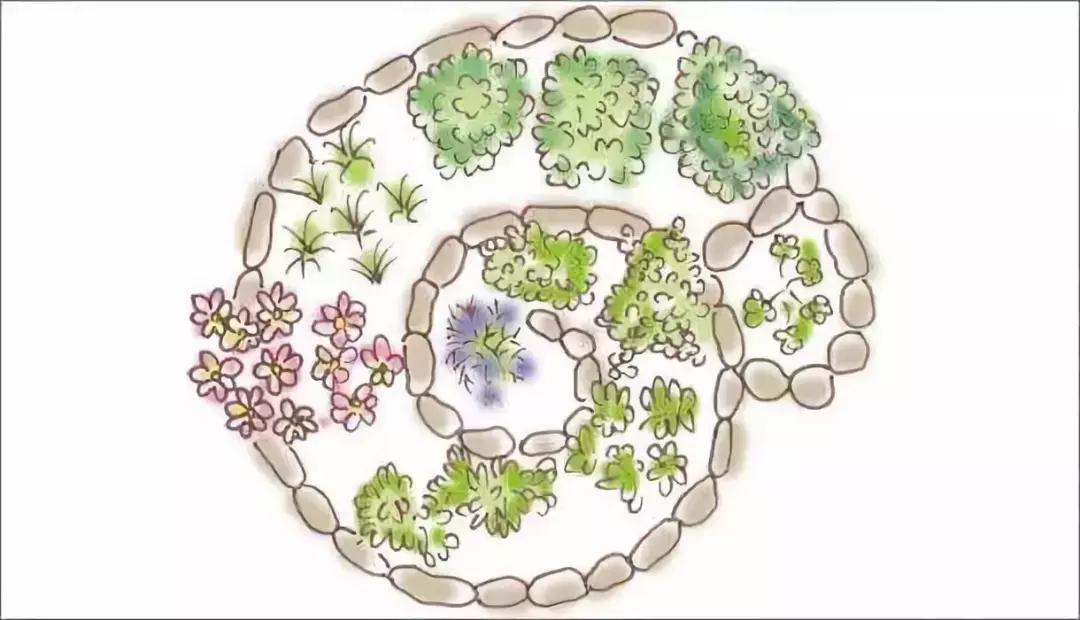 新雨自然学校·第一期Day1：快来建造属于自己的生态花园吧