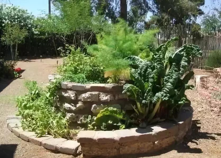 新雨自然学校·第一期Day1：快来建造属于自己的生态花园吧