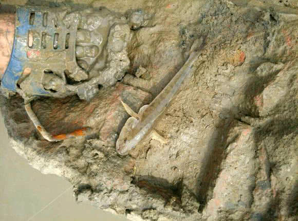 观赏鱼长得像鲶鱼是什么鱼,体型大只像鲶鱼一样的鱼