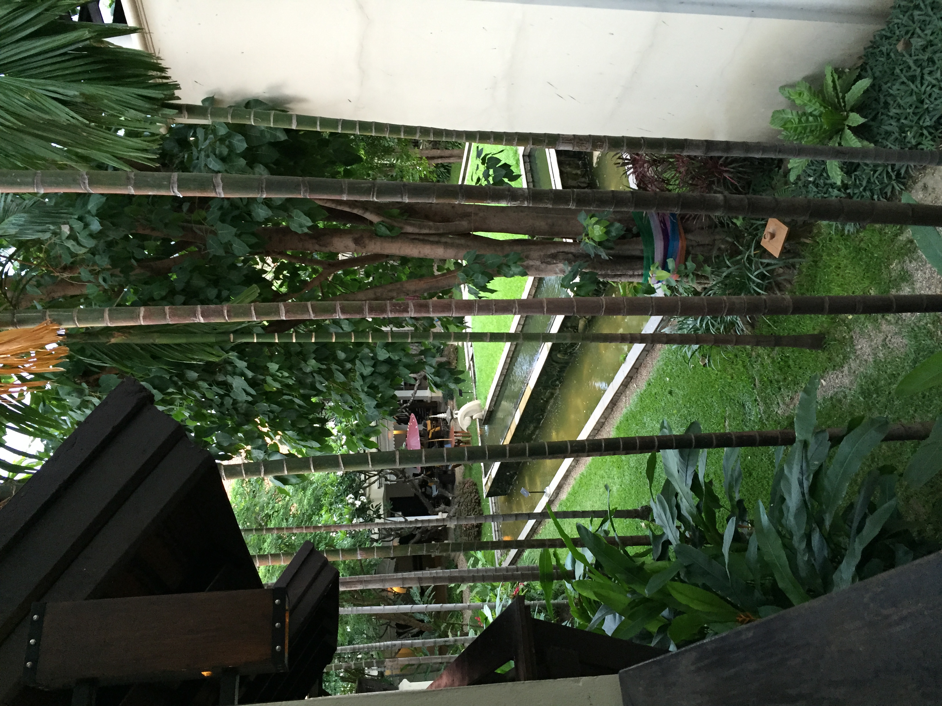 清迈自由行穿搭图片欣赏,泰国清迈自由行路线图